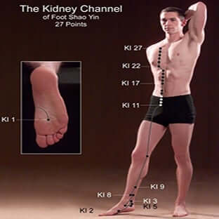 kidney channel